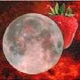 Strawberry Full Moon