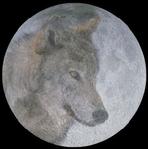 Wolf Moon